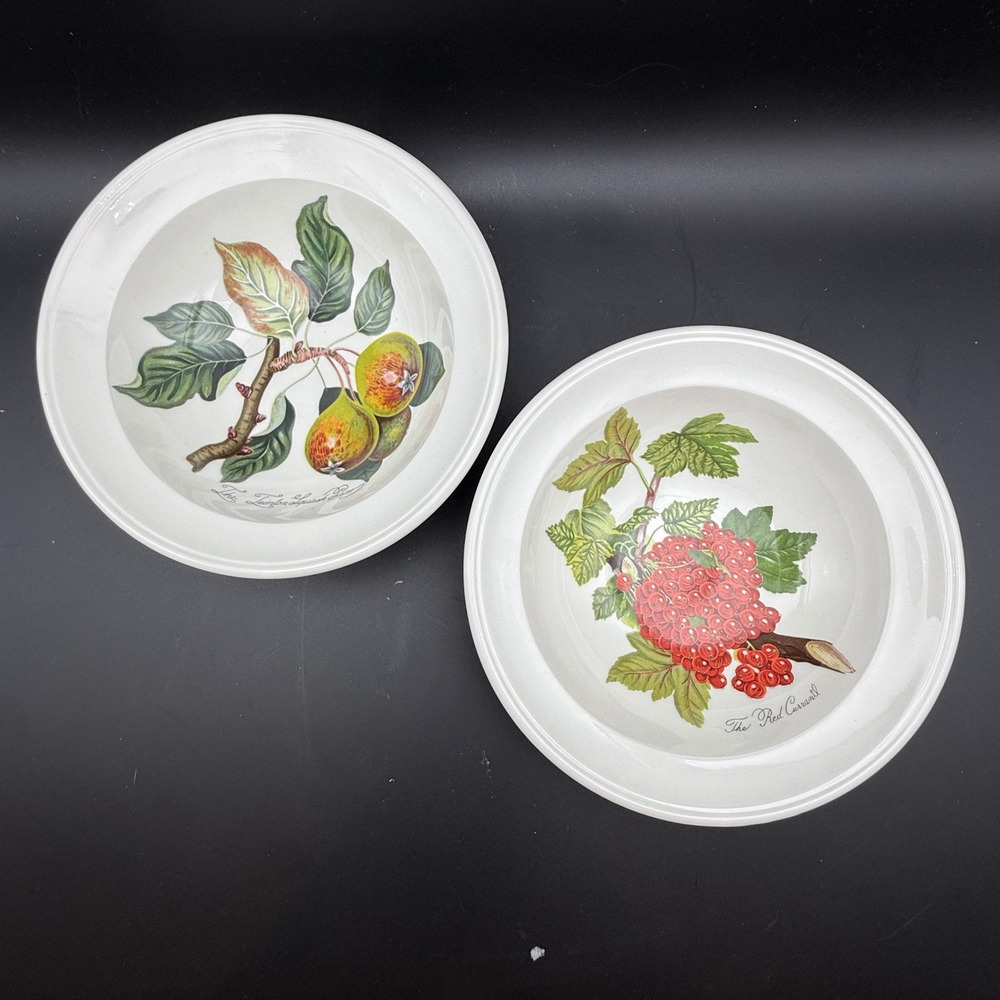 Vintage Portmeirion Pomona Rimmed Cereal Bowls Set 2 Fruit Botanical Cottagecore
